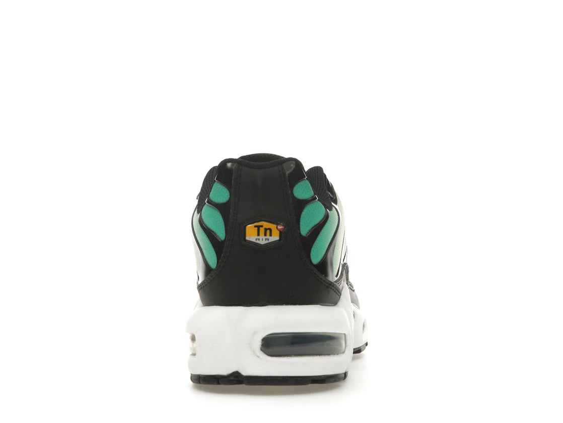 Nike Air Max Plus Rainbow (Women's)