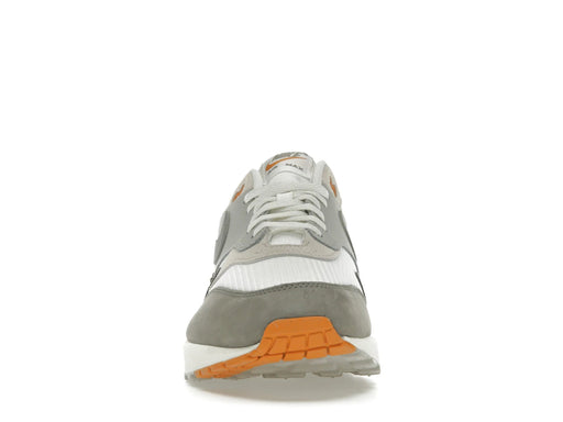 Nike Air Max 1 Light Iron Ore Flat Pewter